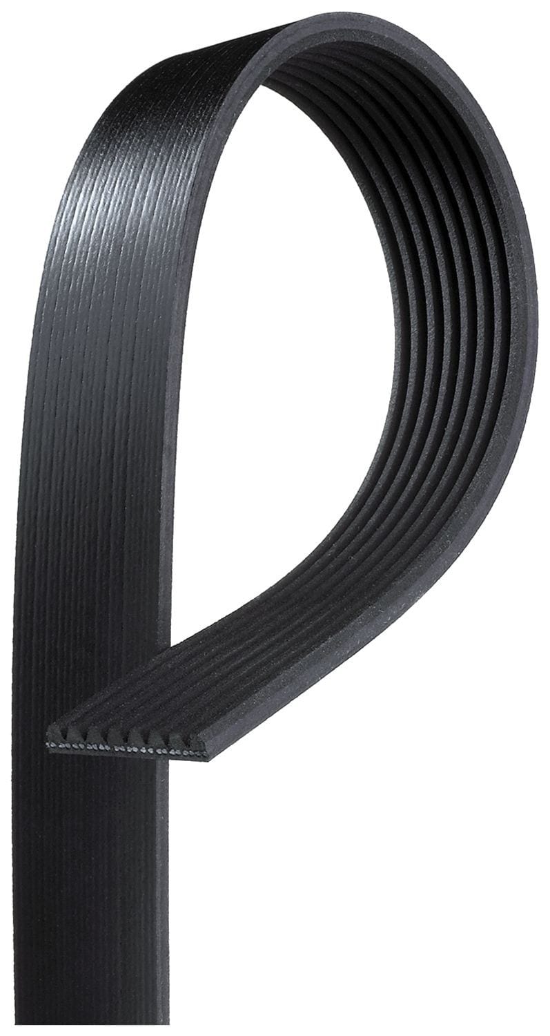 PK Kaiš - 8pk 1700mm